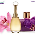 Perfumery Company