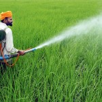 Pesticides Industry